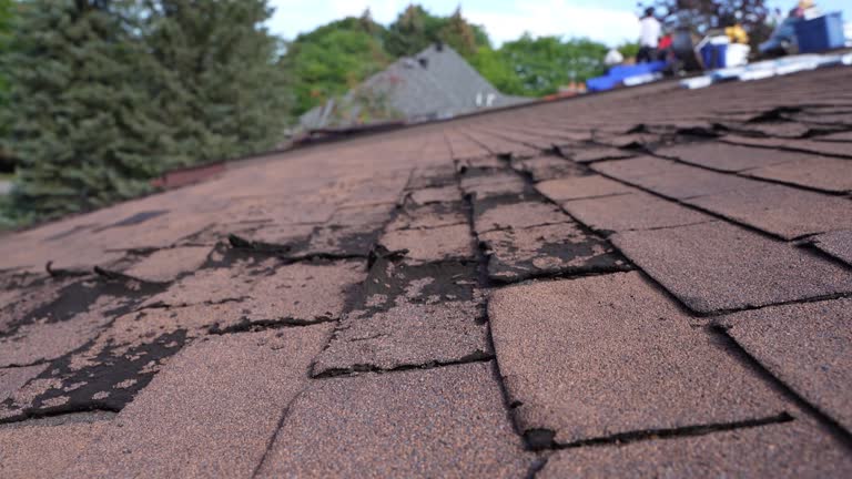 Best Roof Maintenance and Cleaning  in Nemacolin, PA